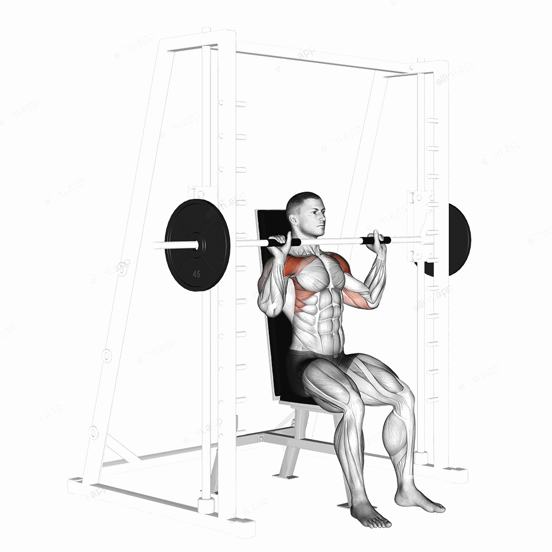 Smith Seated Shoulder Press exercise targeting Shoulders and Deltoid Anterior