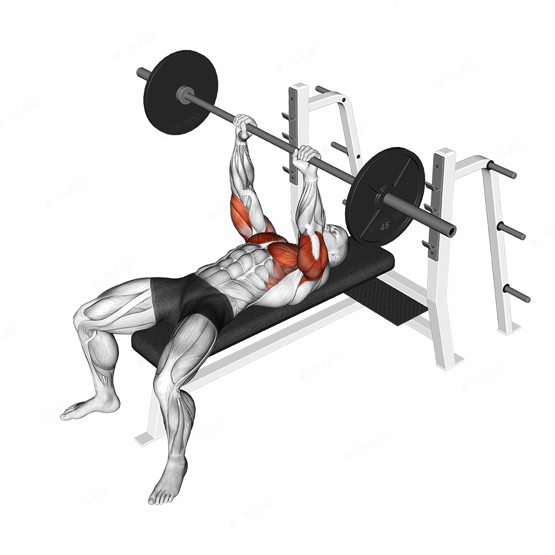 Barbell JM Bench Press exercise targeting Upper Arms and Triceps Brachii