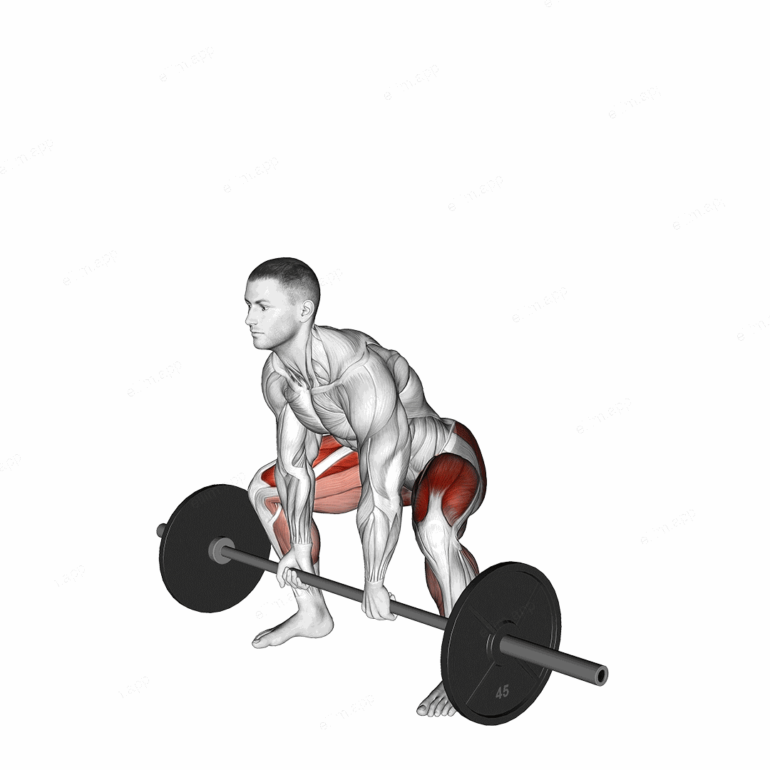 Barbell Paused Sumo Deadlift exercise targeting Hips