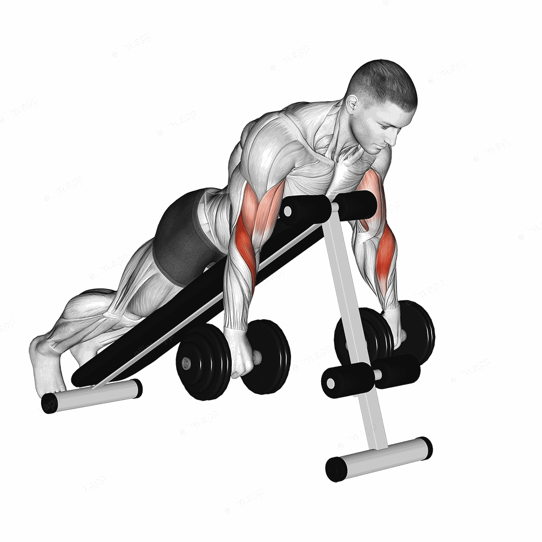 Dumbbell Reverse Spider Curl exercise targeting Upper Arms