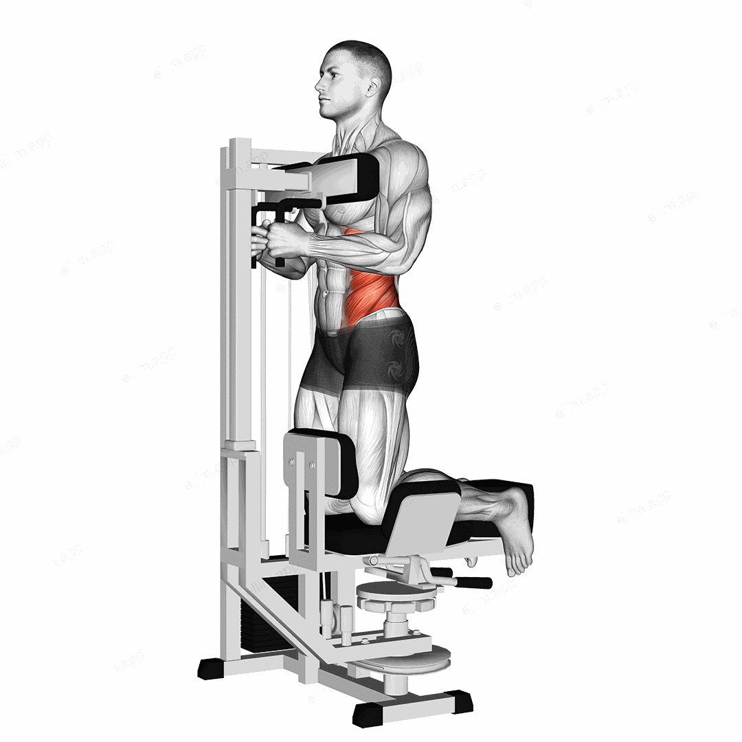 Lever Kneeling Twist exercise targeting Waist and Obliques