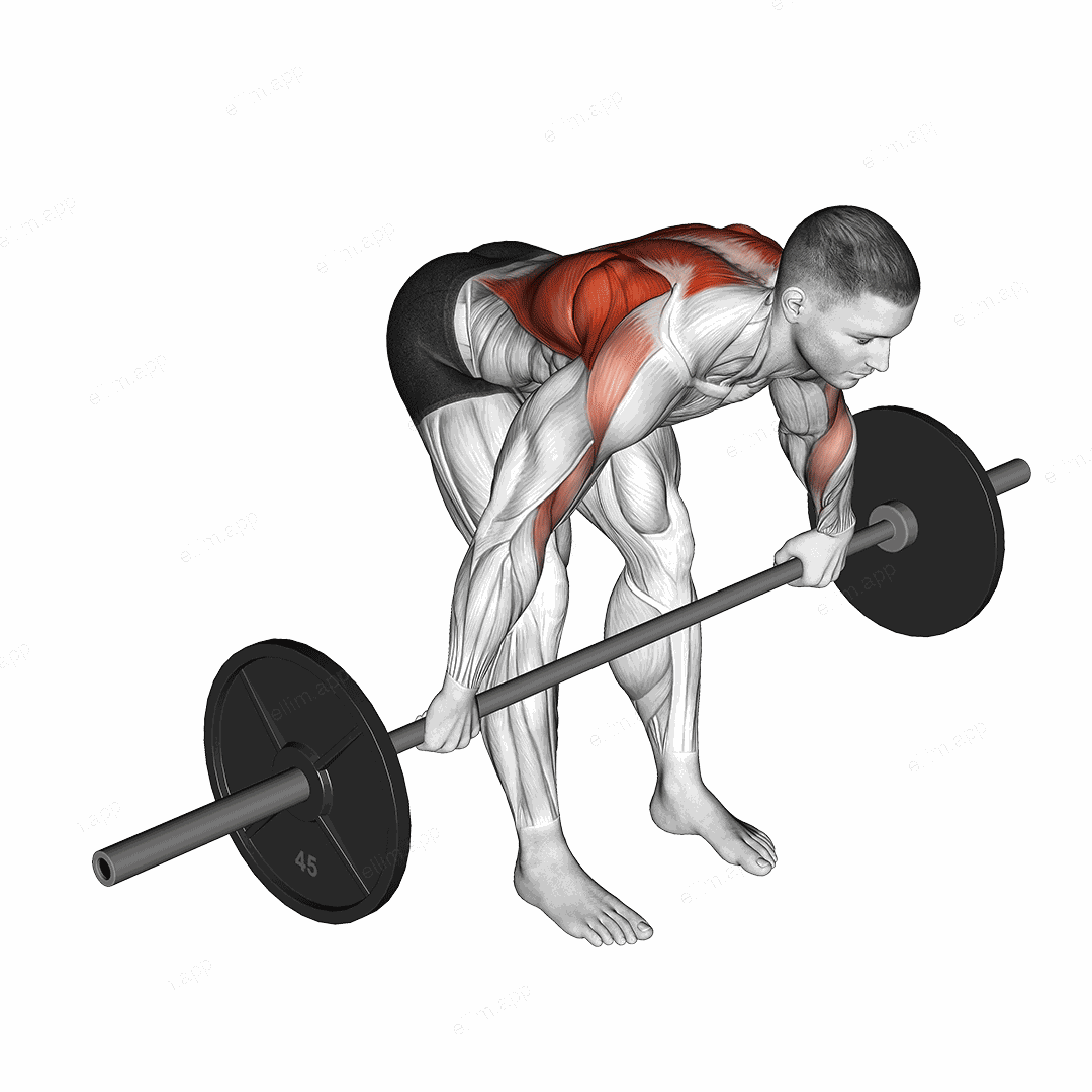 Barbell Bent Over Wide Grip Row exercise targeting Back and Infraspinatus