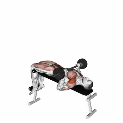 Barbell Press Sit Up exercise targeting Waist