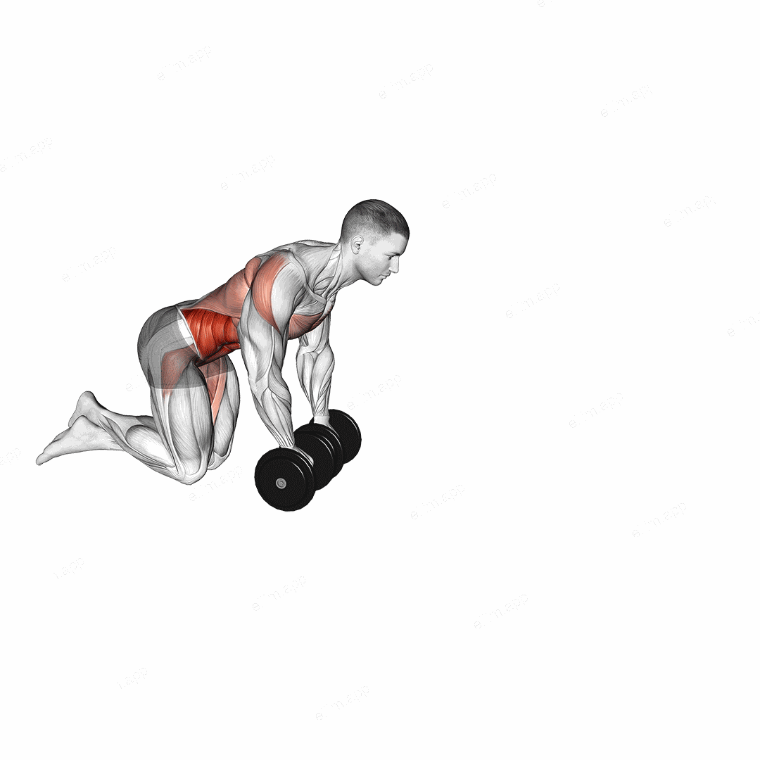 Dumbbell Rollout exercise targeting Waist and Iliopsoas
