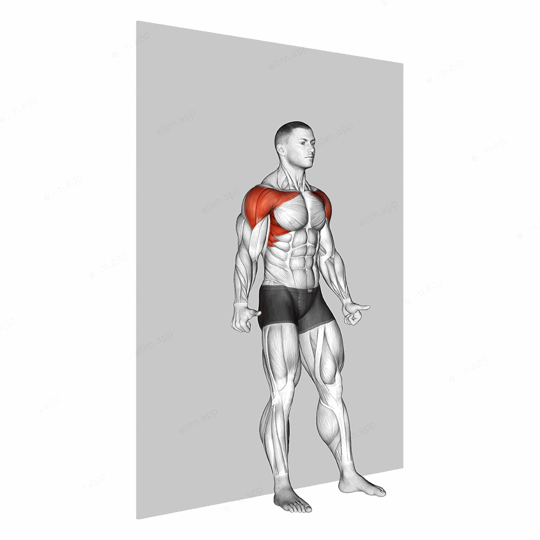 Shoulder Flexion Back to Wall exercise targeting Back