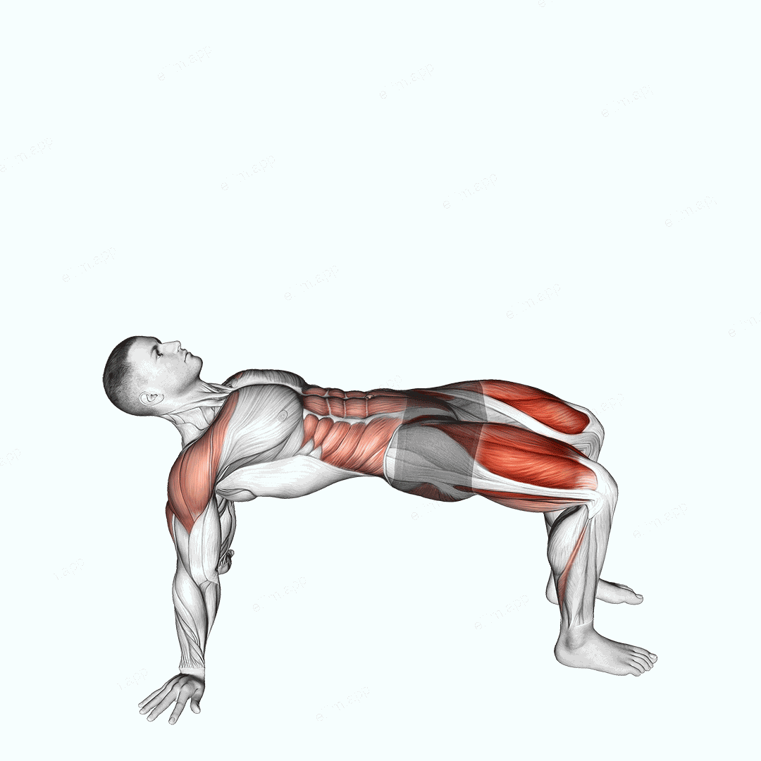Reverse Plank with Leg Lift exercise targeting Iliopsoas and Quadriceps
