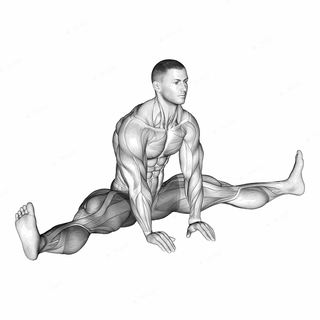 Sitting Wide Leg Adductor Stretch exercise targeting Hips and Adductor Brevis