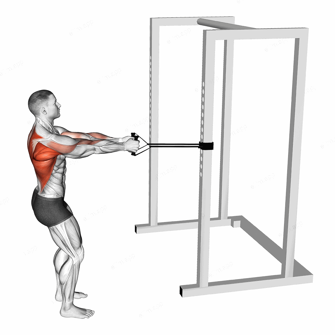 Band Close Grip Row exercise targeting Back and Infraspinatus