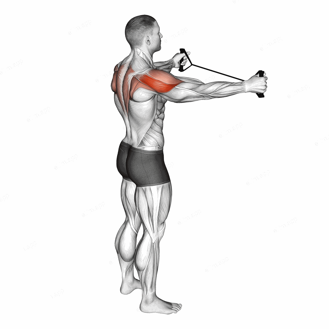 Band Pull Apart exercise targeting Shoulders