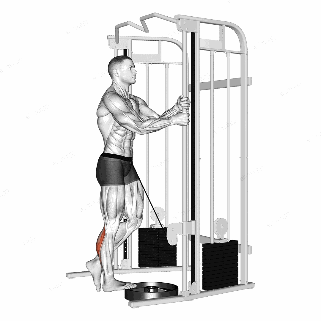 Cable Standing One Leg Calf Raise exercise targeting Calves and Gastrocnemius