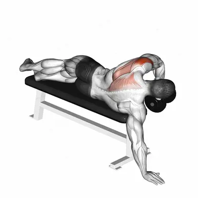 Dumbbell Lying One Arm Deltoid Rear exercise targeting Shoulders and Deltoid Posterior