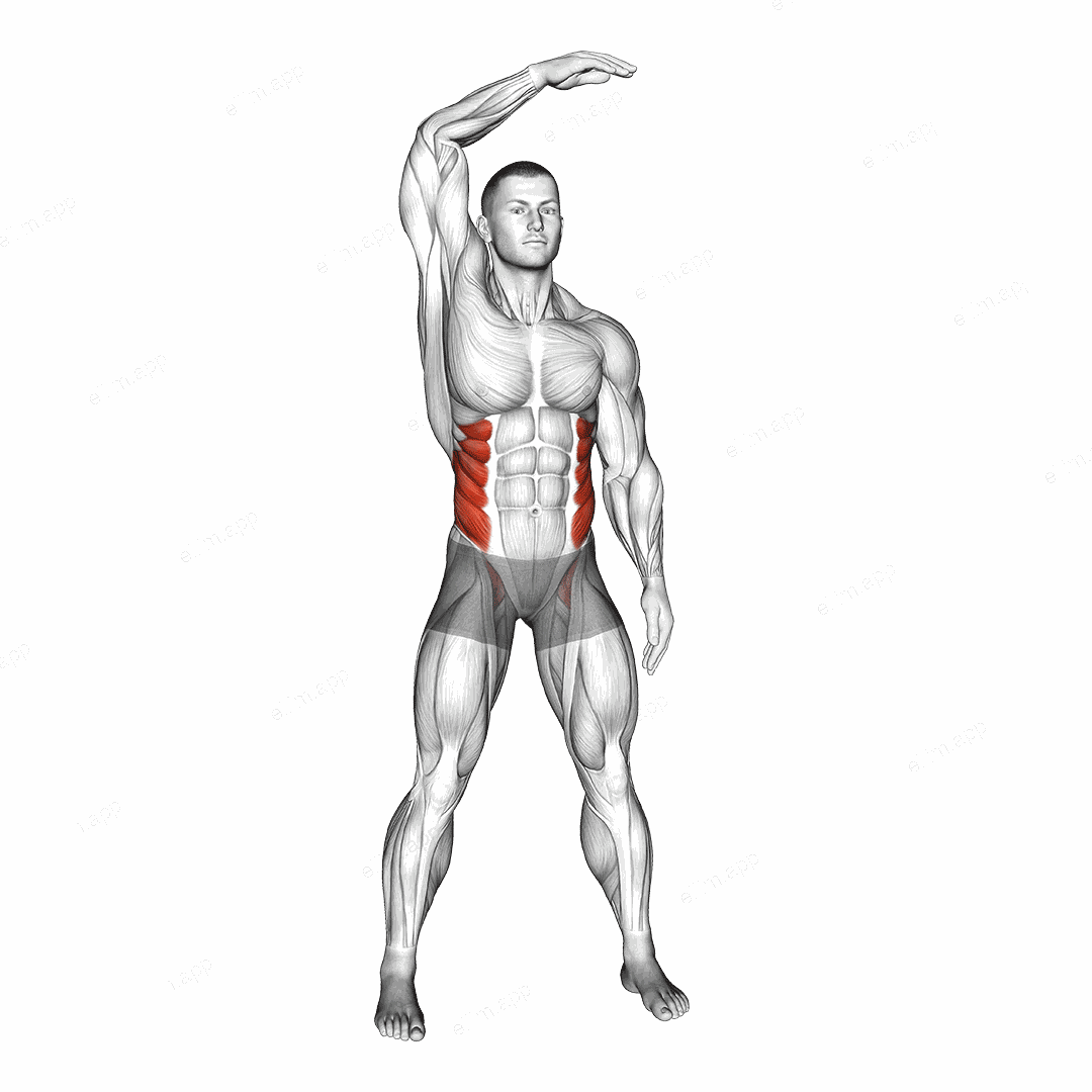 Standing Side Bend (bent arm) exercise targeting Waist and Obliques