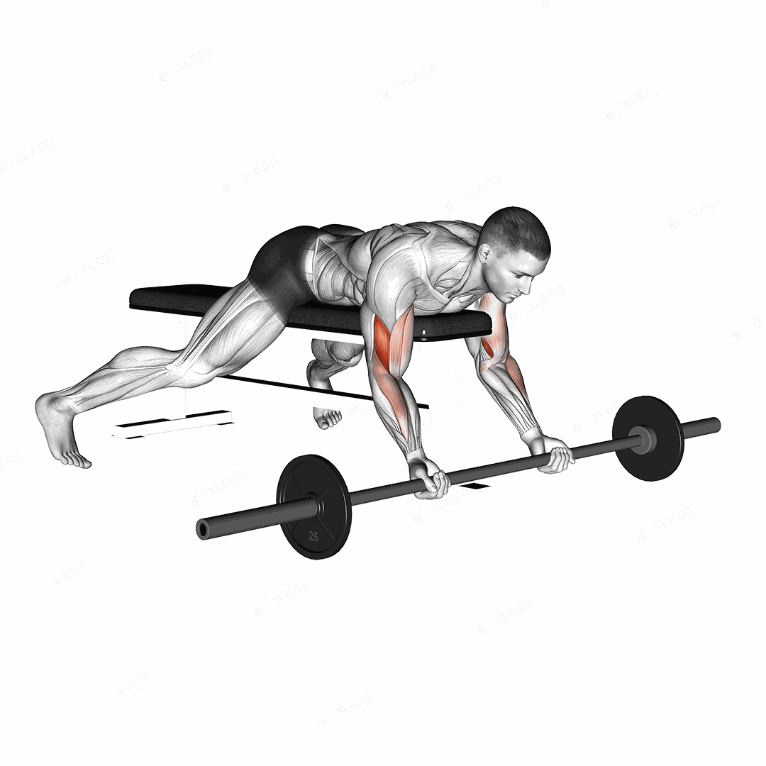 Barbell Lying Preacher Curl exercise targeting Upper Arms and Brachialis