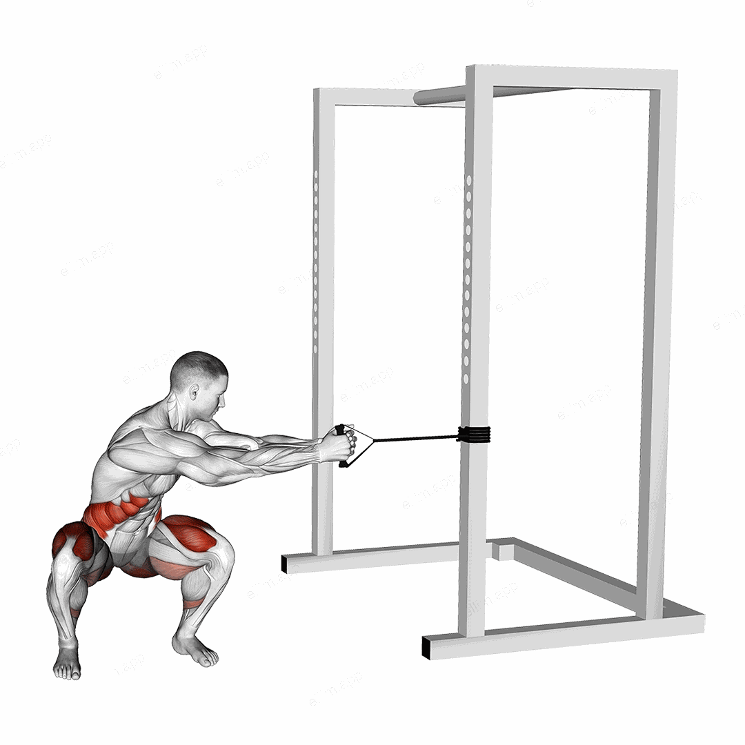 Band Squat Twist exercise targeting Waist and Gluteus Maximus