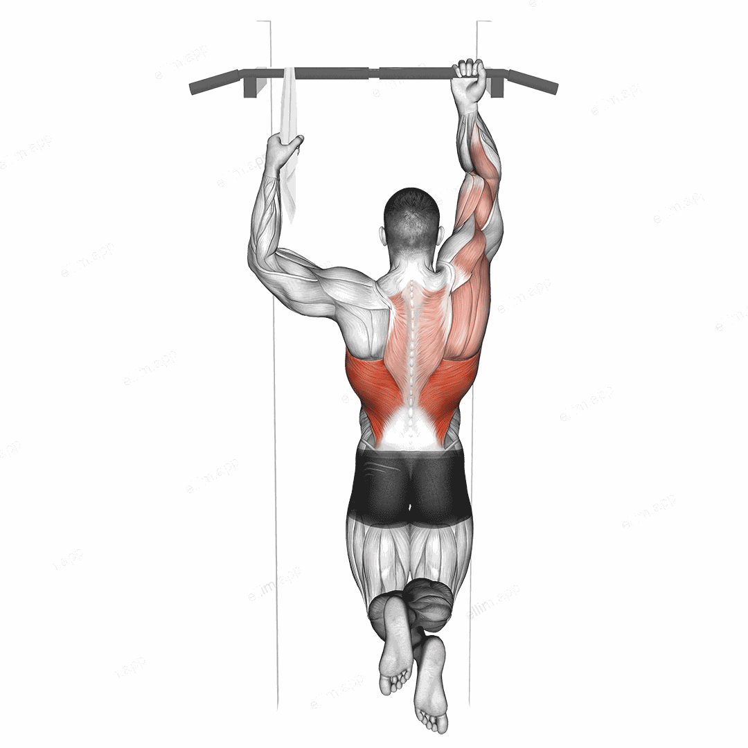 One Arm Chin Up exercise targeting Back