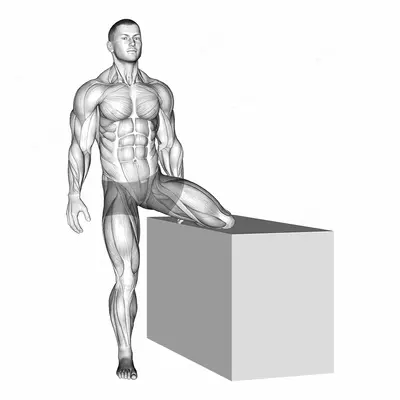 Standing Rotational Hip Stretch exercise targeting Hips