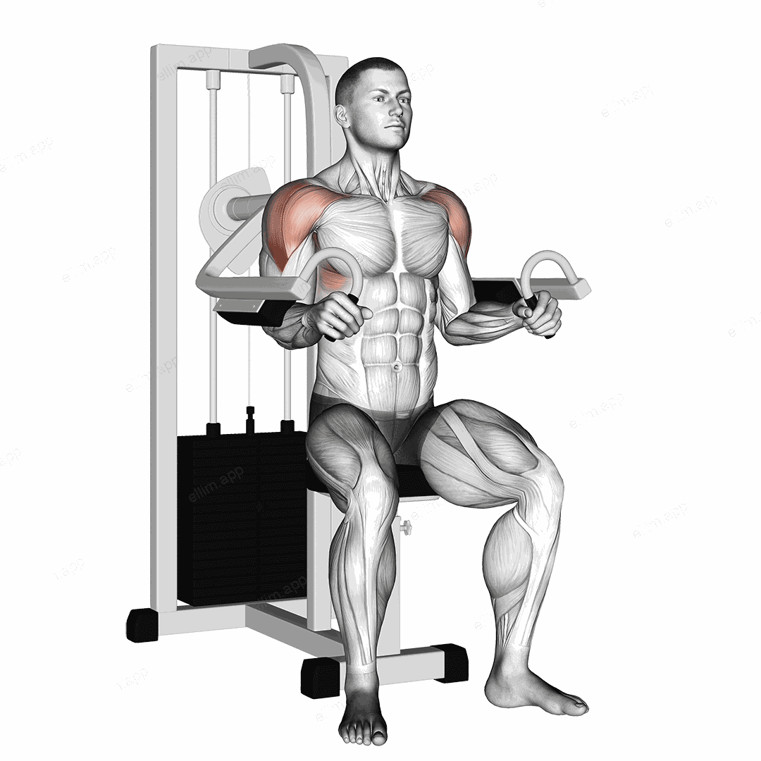 Lever Lateral Raise exercise targeting Shoulders and Deltoid Lateral