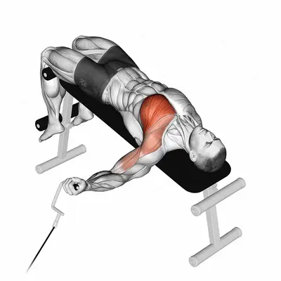 Cable One Arm Decline Chest Fly exercise targeting Chest and Pectoralis Major Sternal Head