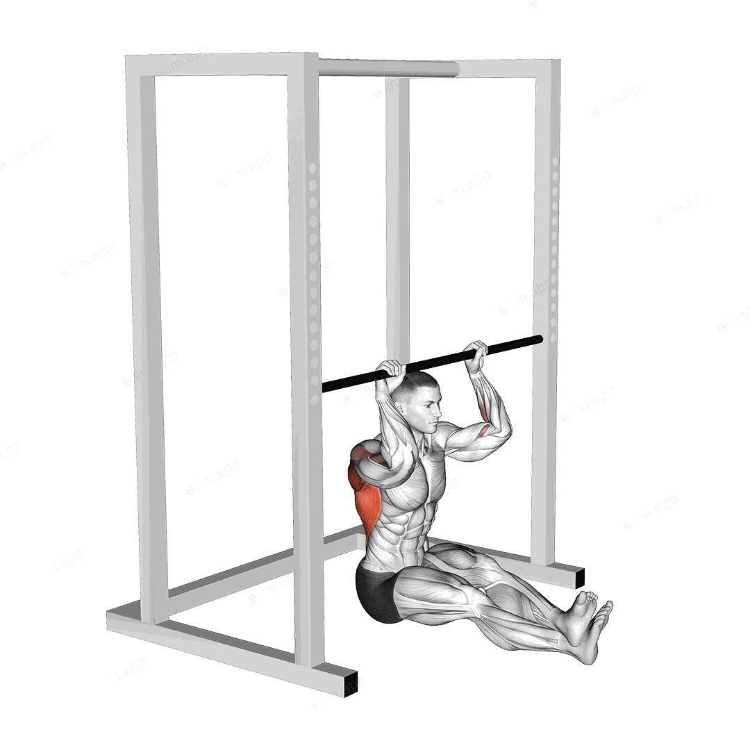 Seated Pull up (low bar position) exercise targeting Back