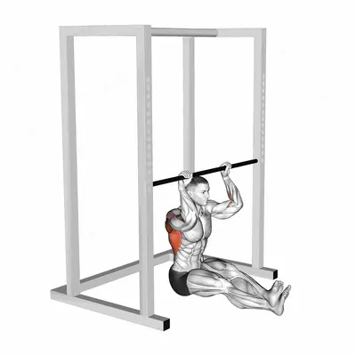 Seated Pull up (low bar position) exercise targeting Back