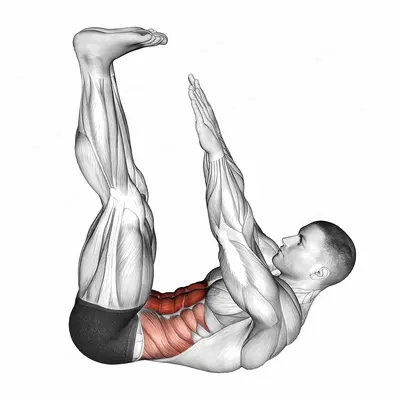 Lying Toe Touch exercise targeting Waist and Rectus Abdominis