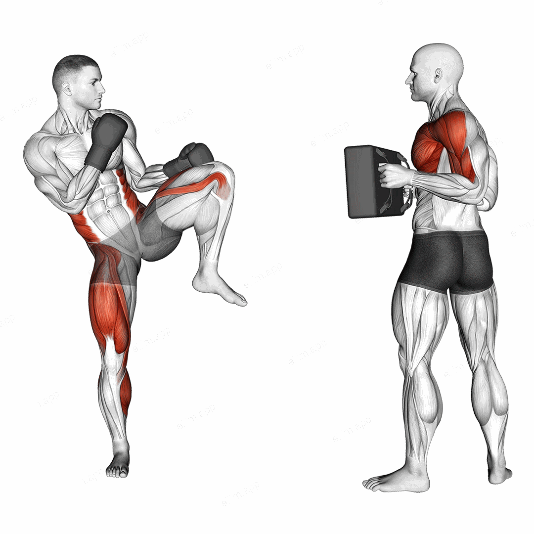 Front Kick Kickboxing (with partner) exercise targeting Plyometrics