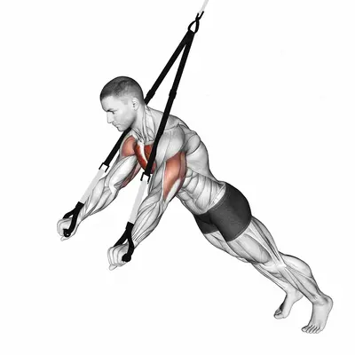 Suspension Chest Press exercise targeting Chest