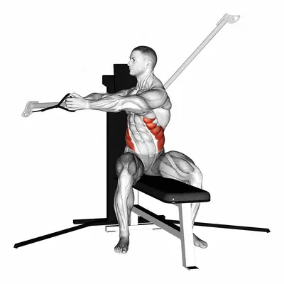 Cable Seated Twist exercise targeting Waist and Obliques
