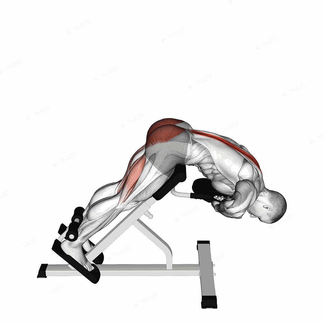 Weighted Hyperextension exercise targeting Hips and Erector Spinae