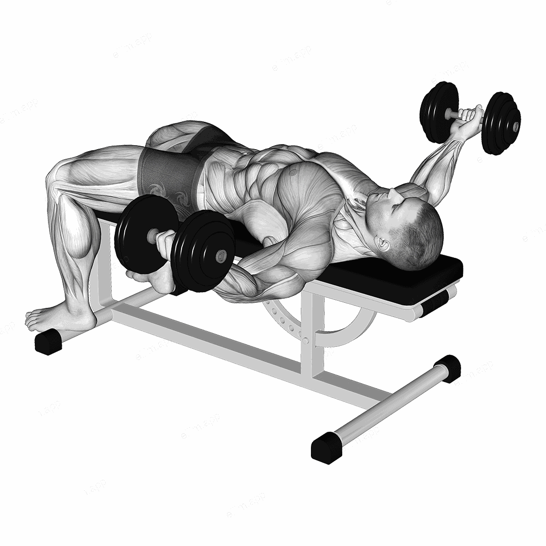 Dumbbell Flat Flye Hold exercise targeting Chest