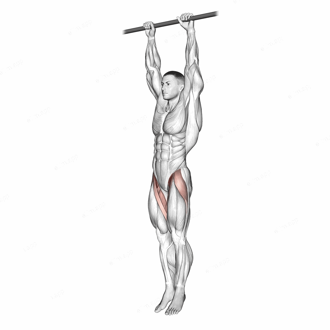 Hanging Leg Raise exercise targeting Hips and Iliopsoas