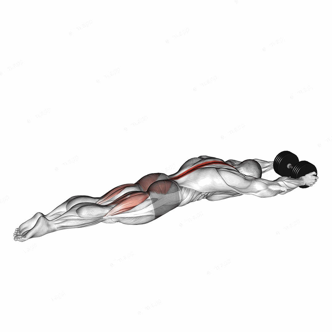 Dumbbell Superman exercise targeting Hips and Erector Spinae