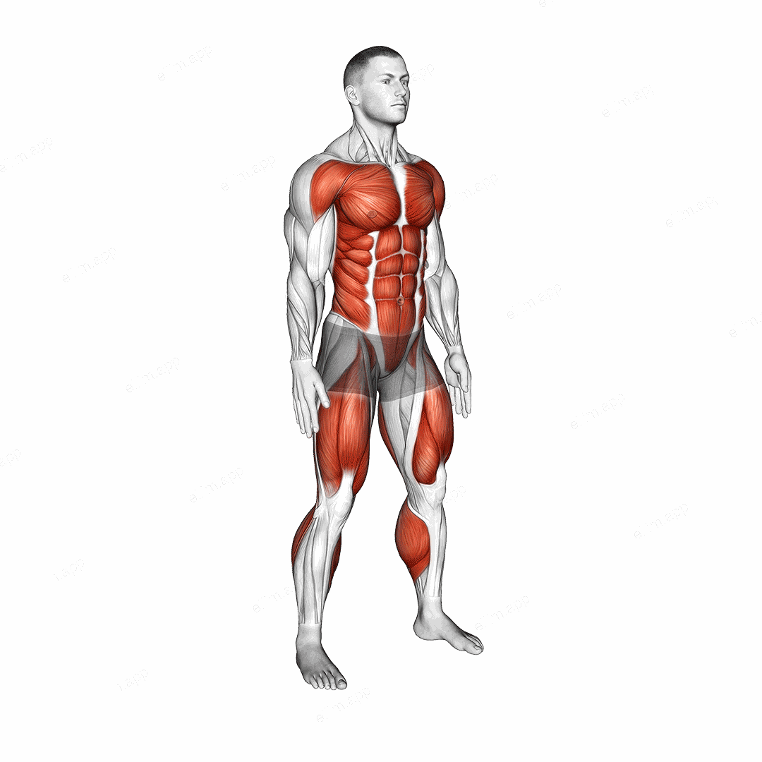 Burpee Squat exercise targeting Plyometrics