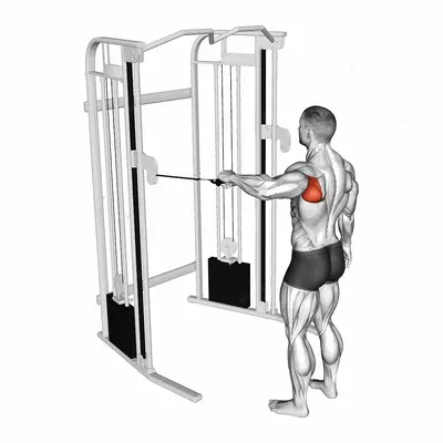 Cable Shoulder 90 degrees External Rotation exercise targeting Back and Teres Major