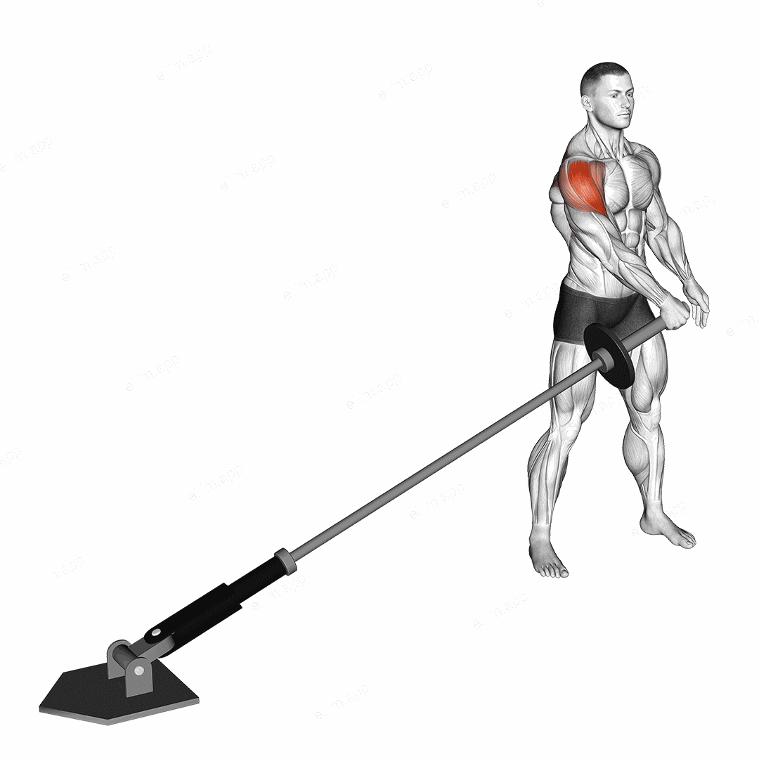 Landmine Lateral Raise exercise targeting Shoulders and Deltoid Lateral