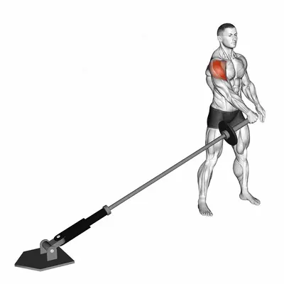 Landmine Lateral Raise exercise targeting Shoulders and Deltoid Lateral