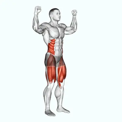 Elbow To Knee Twists exercise targeting Cardio