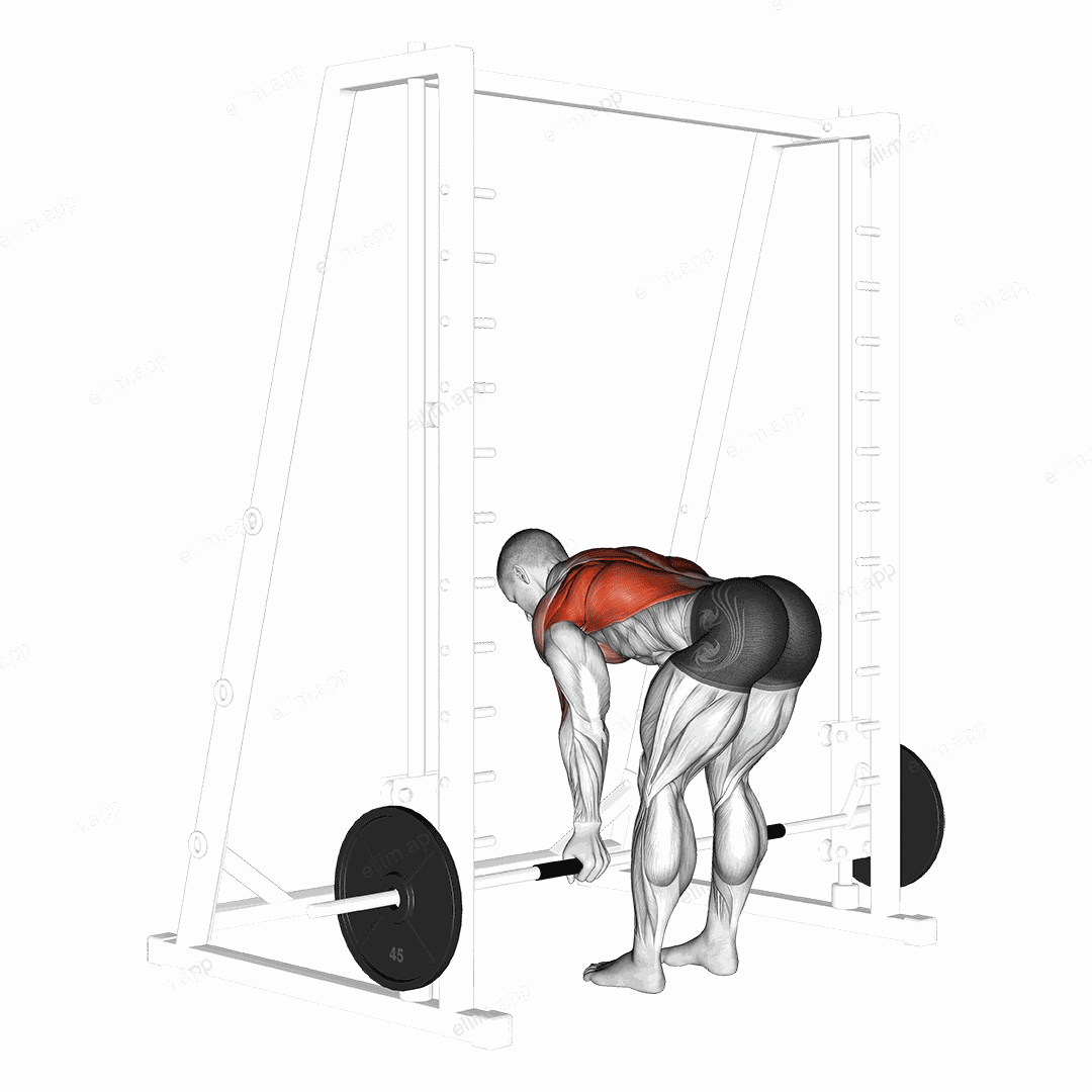 Smith Reverse Grip Bent Over Row exercise targeting Back and Infraspinatus