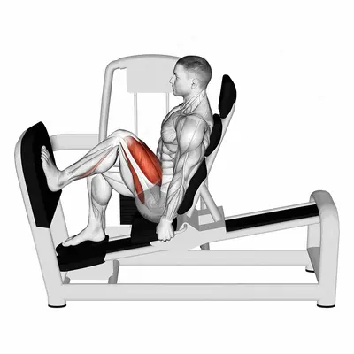 Lever Seated One Leg Squat exercise targeting Thighs