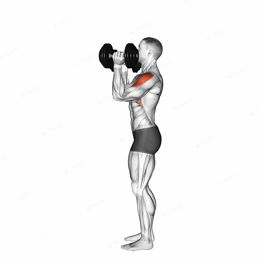 Dumbbell Scott Press exercise targeting Shoulders and Deltoid Lateral