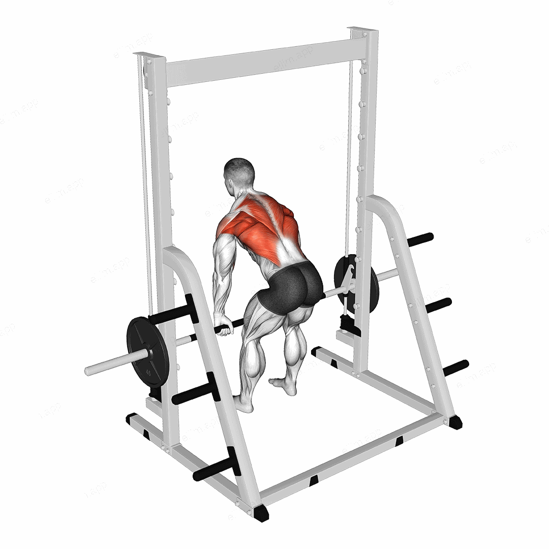 Smith Rear Delt Row exercise targeting Shoulders