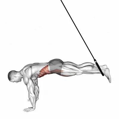 Ring Reverse Ab Rollout exercise targeting Waist