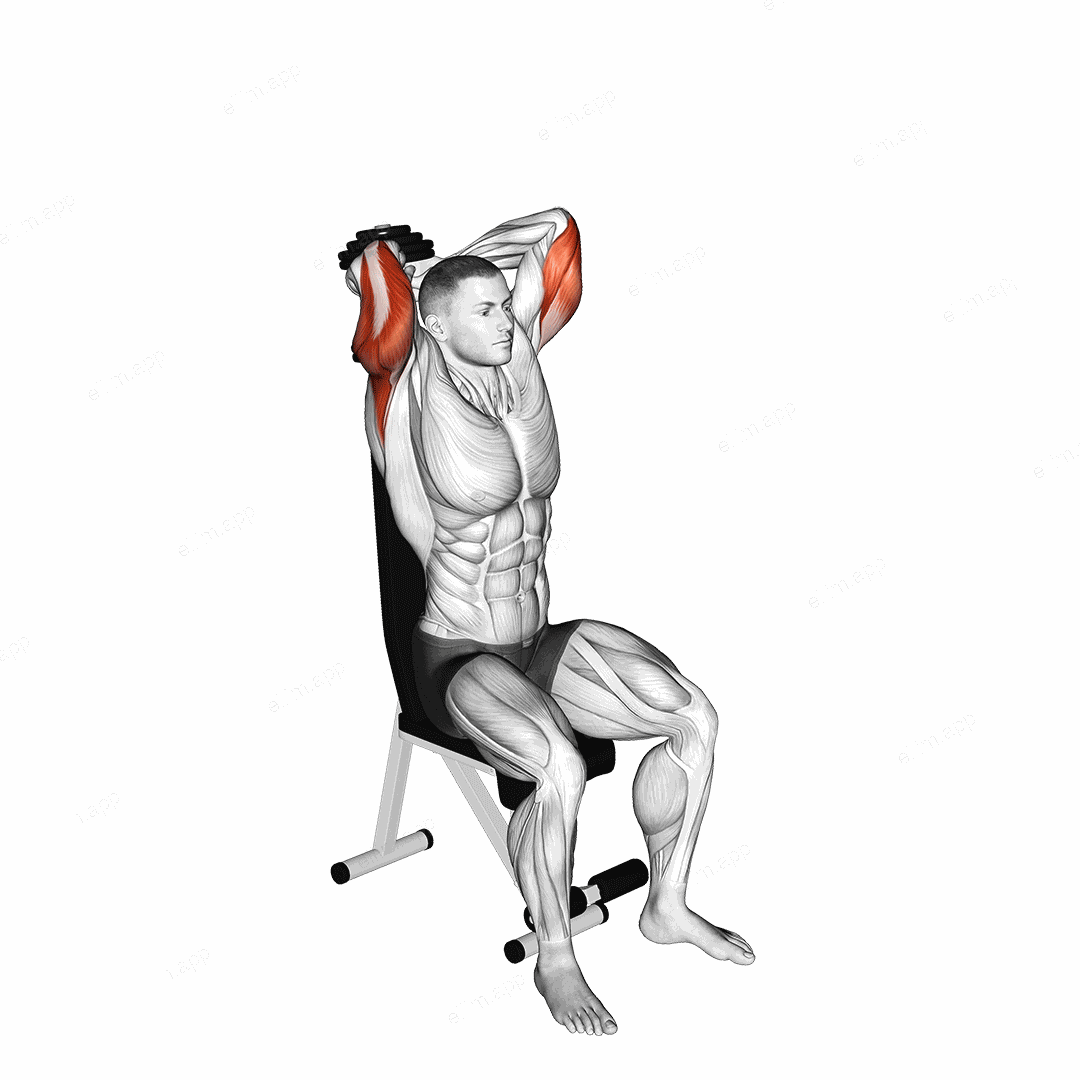 Dumbbell Seated Triceps Extension exercise targeting Upper Arms and Triceps Brachii
