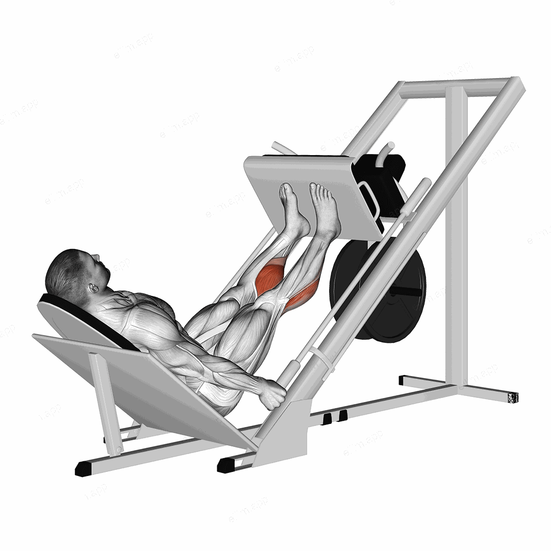 Sled 45 Calf Press exercise targeting Calves