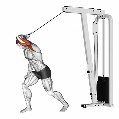 Cable One Arm High Pulley Overhead Tricep Extension exercise targeting Upper Arms and Triceps Brachii