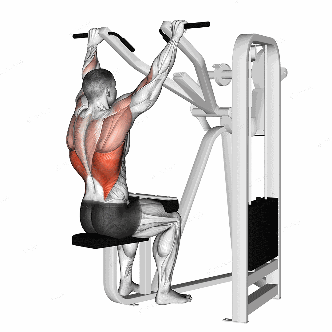 Lever Front Pulldown exercise targeting Back and Latissimus Dorsi