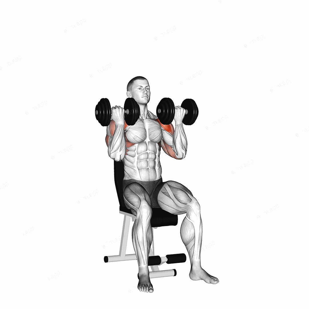 Dumbbell Alternate Arnold Press exercise targeting Shoulders
