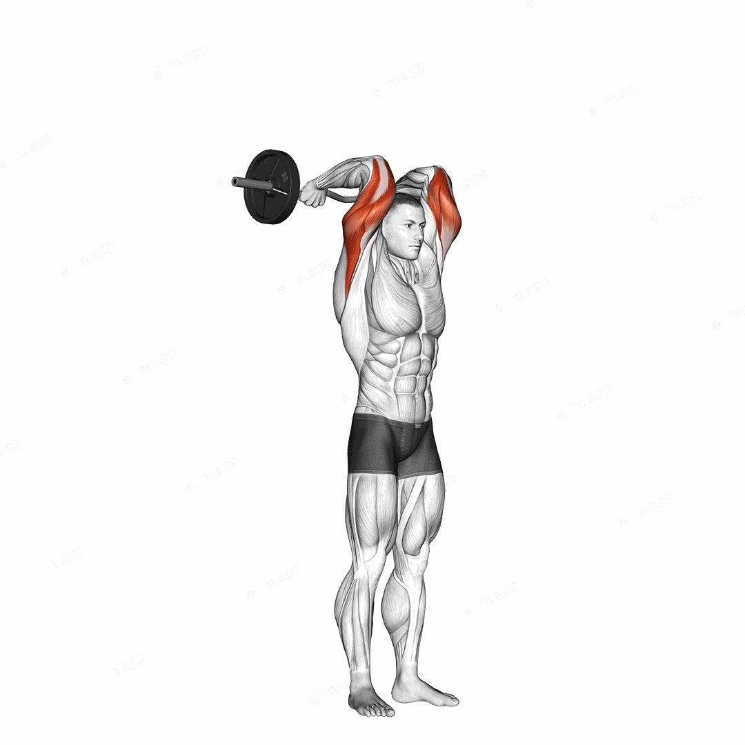 EZ Bar Standing French Press exercise targeting Upper Arms and Triceps Brachii