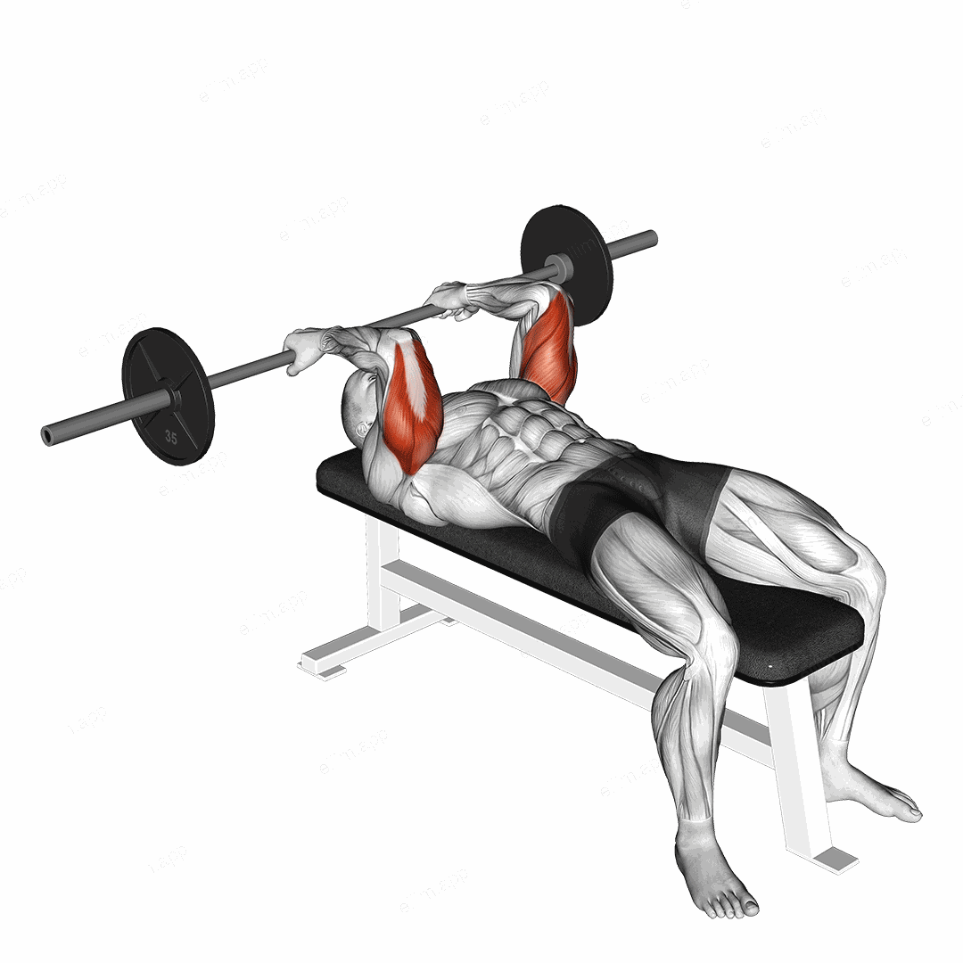 Barbell Reverse Grip Skullcrusher exercise targeting Upper Arms