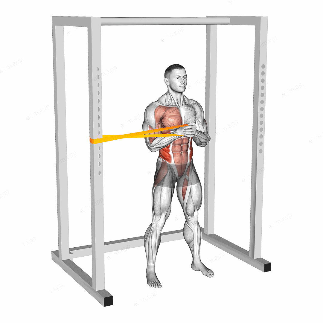 Resistance Band Horizontal Pallof Press exercise targeting Waist and Obliques